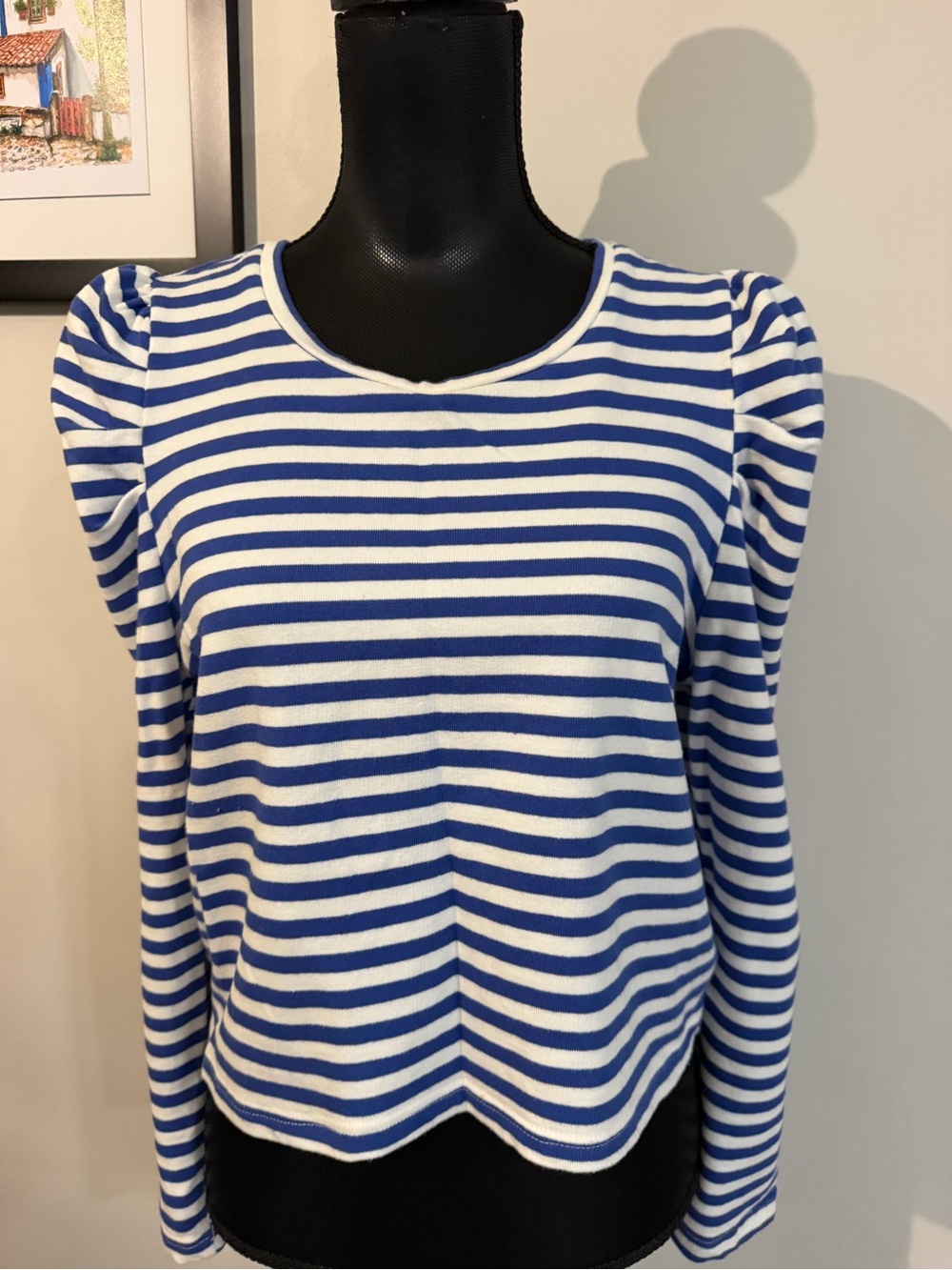 Rebecca Minkoff Women’s Blue & White Striped Puff-Sleeve Top Sweatshirt L